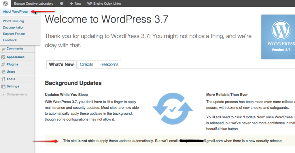 WordPress Background Updates Eligibility