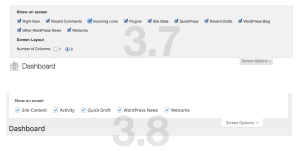 WordPress Dashboard (3.8) - Screen Options