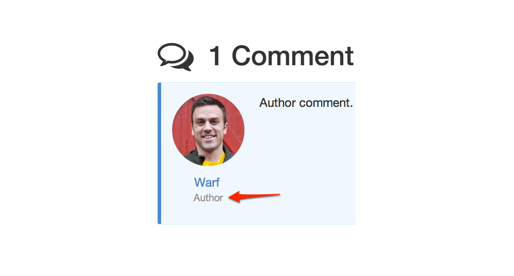 WordPress Comment Author Example