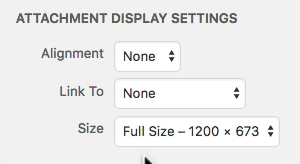 WordPress attachment image sizes animation