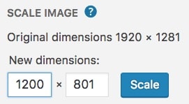 WordPress scale image options