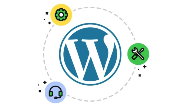 WordPress Premium Support