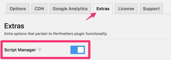 Enable script manager in Perfmatters