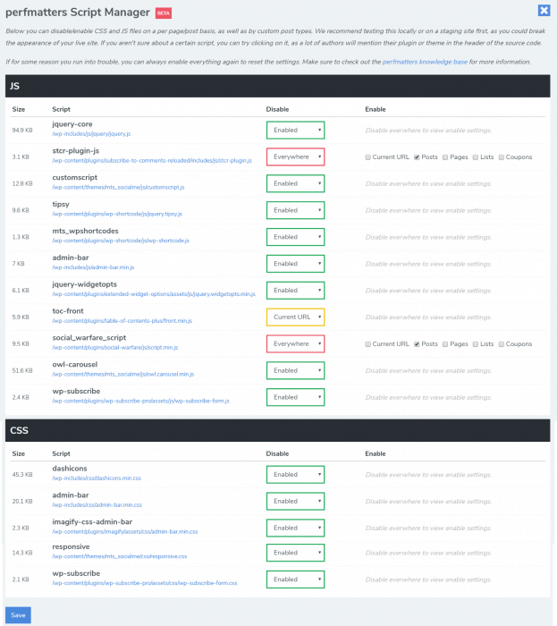 Perfmatters script manager example